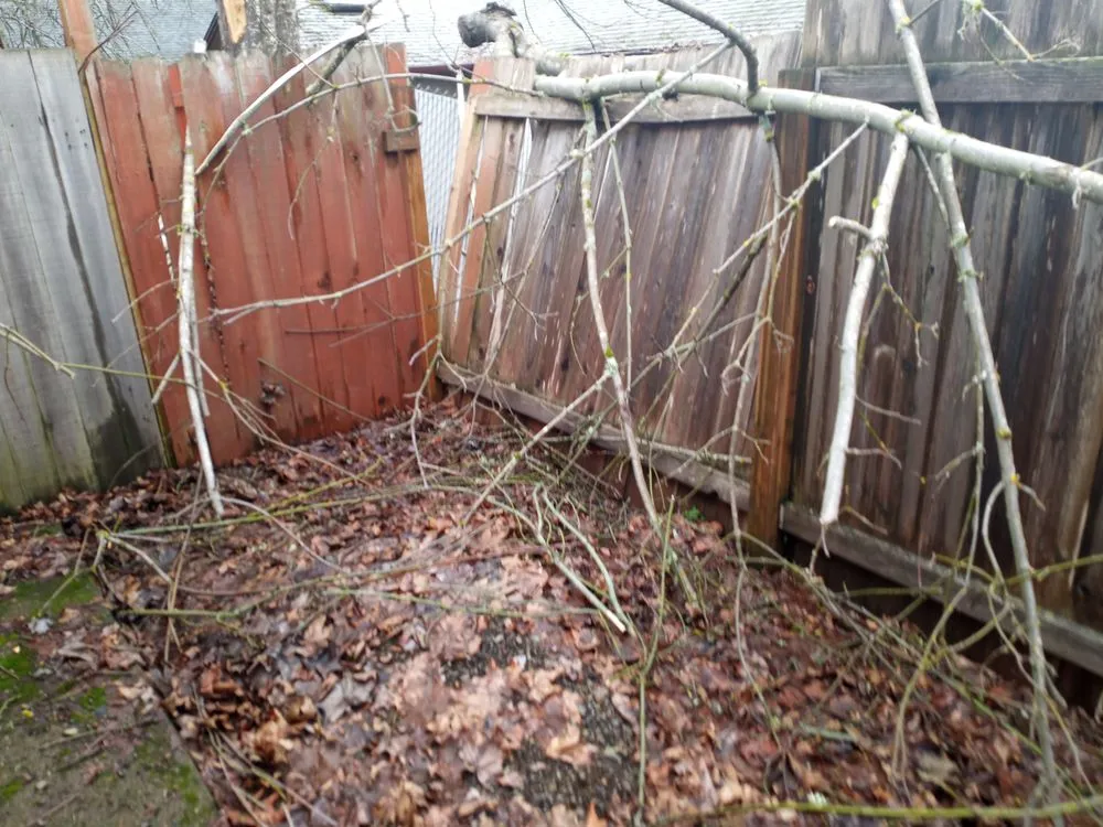 Top-rated lawn mowing service in Springfield, OR by Juan Godoy’s Landscape and Cleaning Services