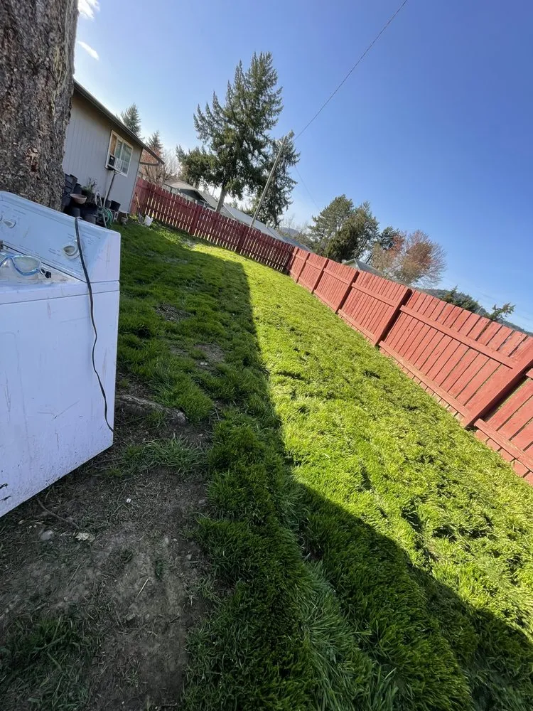 Reliable landscaping services in Springfield, OR - Juan Godoy’s Landscape and Cleaning Services