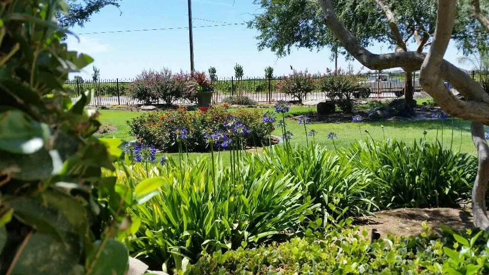 Expert lawn mowing service with custom design in Fresno, CA by Juan Gutierrez Landscape