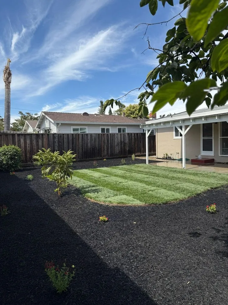 Reliable yard maintenance for year-round maintenance in Campbell, CA by Juan Hernandez and New View Landscaping