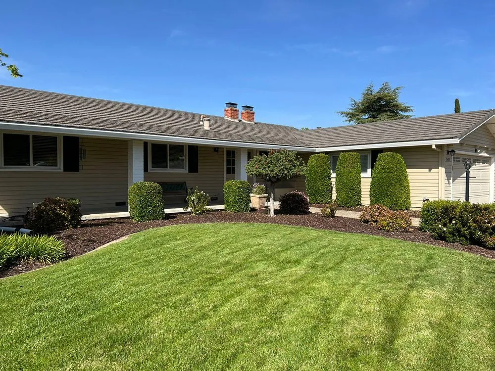 Custom lawn care service experts serving Campbell, CA - Juan Hernandez and New View Landscaping