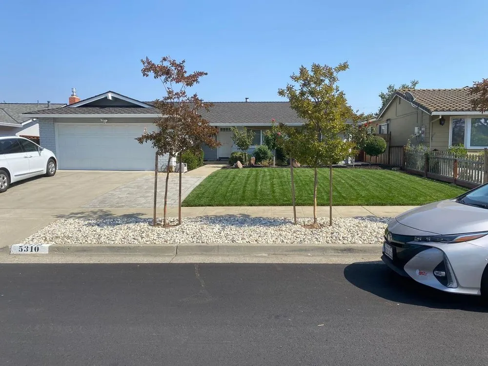 Top-rated yard cleanup service in Campbell, CA - Juan Hernandez and New View Landscaping