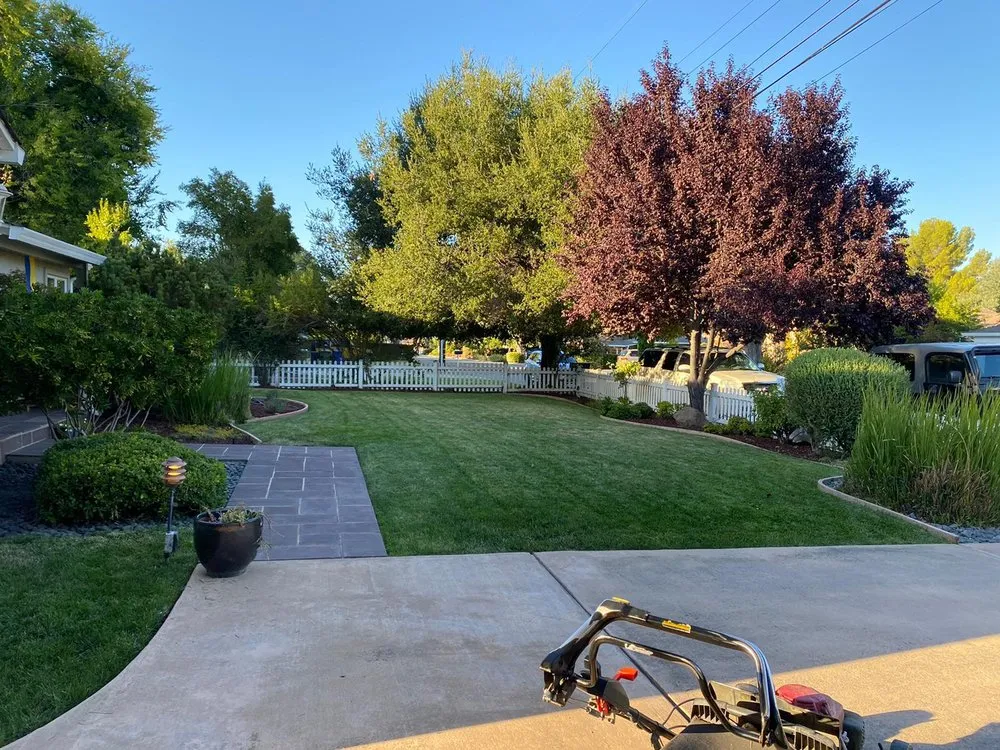 Expert landscaping services in Campbell, CA by Juan Hernandez and New View Landscaping