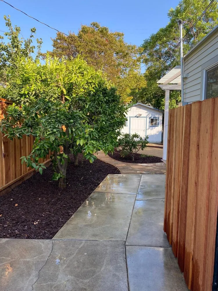 Professional landscaping services in Campbell, CA by Juan Hernandez and New View Landscaping