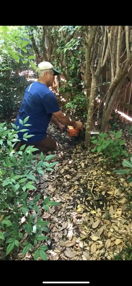 Professional landscaping services for homes in Seguin, TX by Juan Jaramillo Tree Service