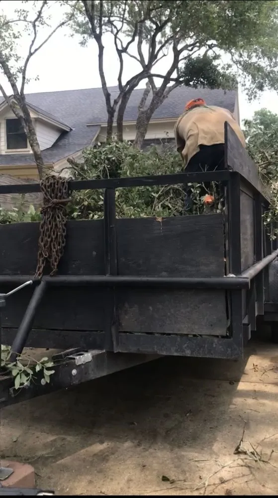 Affordable landscaping services experts serving Seguin, TX - Juan Jaramillo Tree Service