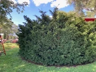 Expert landscape design in Omaha, NE by Juan Landscape