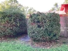 Professional landscaping services for homes in Omaha, NE by Juan Landscape