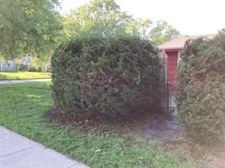 Top-rated yard cleanup service in Omaha, NE - Juan Landscape