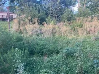 Expert garden landscaping for residential properties across Omaha, NE - Juan Landscape