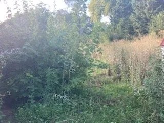 Professional garden landscaping in Omaha, NE - Juan Landscape