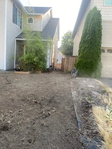 Reliable yard cleanup service experts serving Tacoma, WA - Juan Landscape