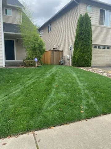 Professional landscaping services in Tacoma, WA by Juan Landscape