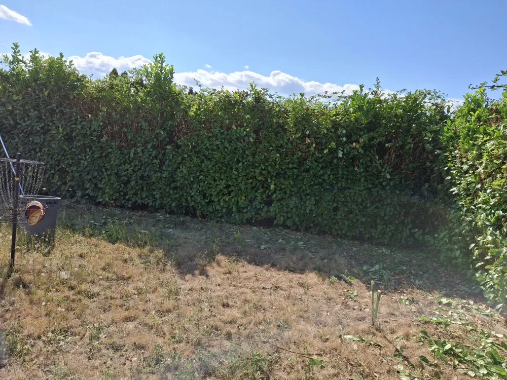 Affordable outdoor landscaping for year-round maintenance in Tacoma, WA by Juan Landscape