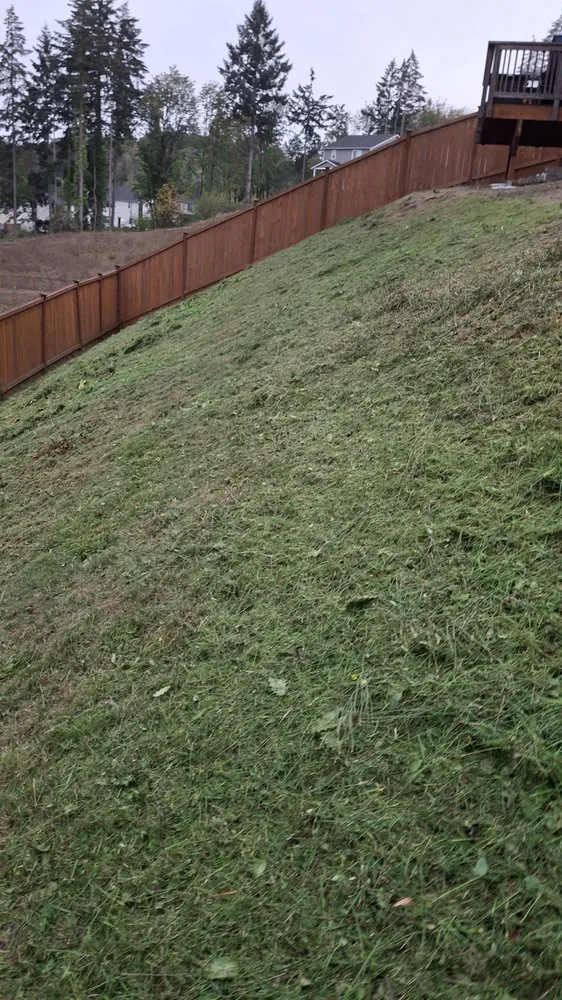 Top-rated lawn care service in Tacoma, WA by Juan Landscape