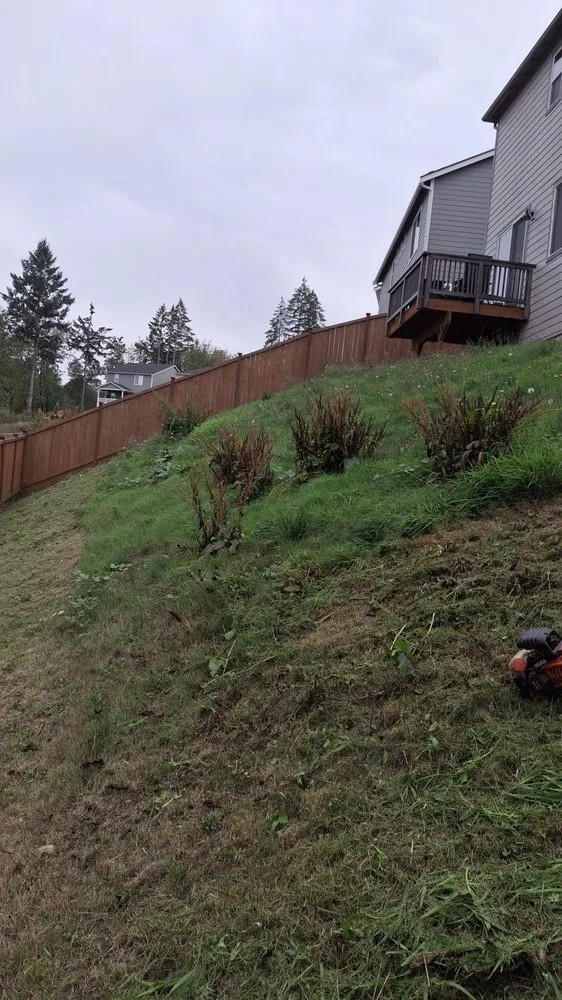 Custom outdoor landscaping in Tacoma, WA - Juan Landscape