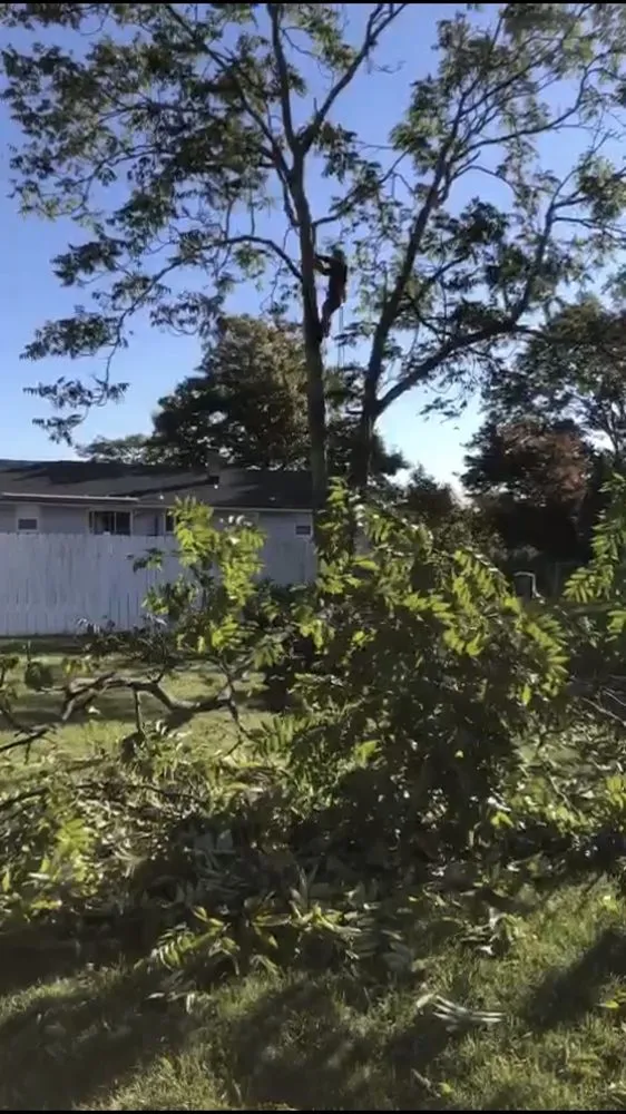 Professional yard maintenance for year-round maintenance in Bridgewater, NJ by Juan Landscaping & Construction