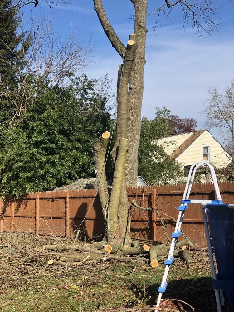 Expert residential landscaping experts serving Bridgewater, NJ - Juan Landscaping & Construction