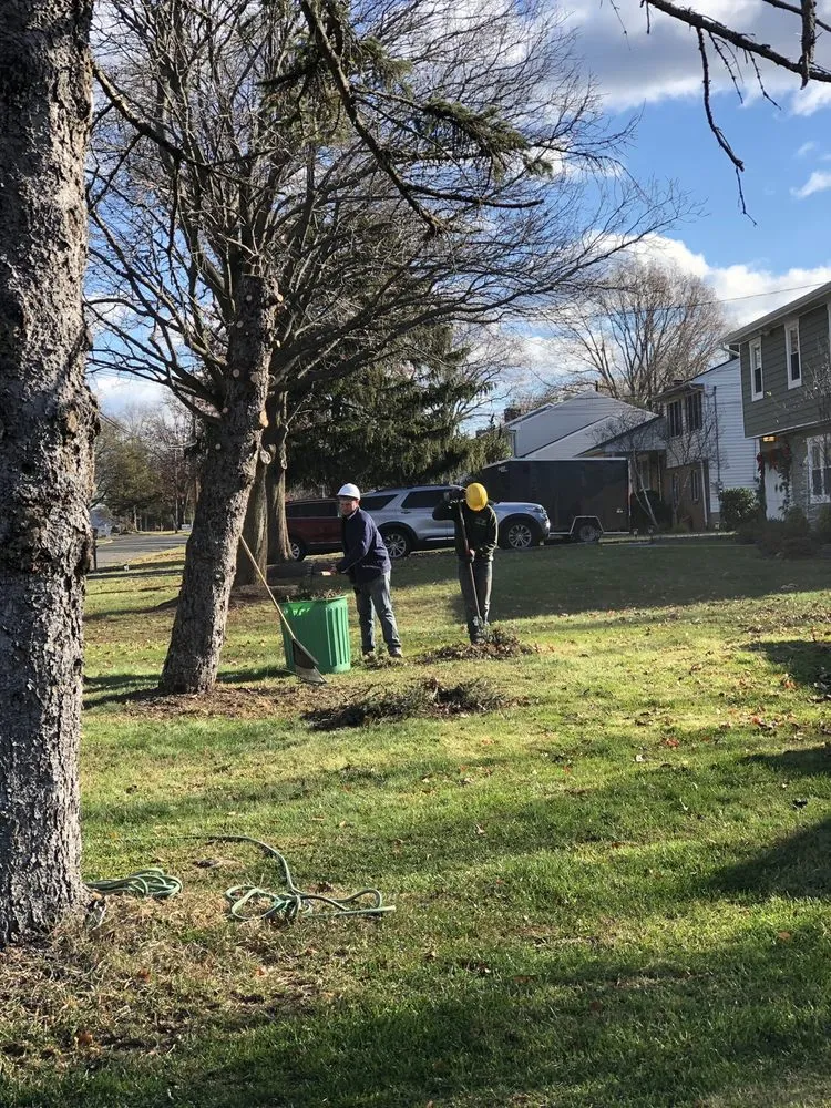 Affordable lawn care service experts serving Bridgewater, NJ - Juan Landscaping & Construction