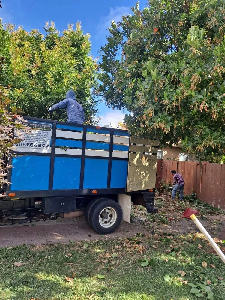 Trusted lawn care service in Oakland, CA by Juan Landscaping & Gardening Service