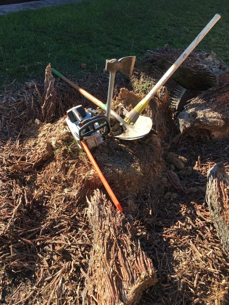 Professional landscape design for beautiful yards in Oakland, CA by Juan Landscaping & Gardening Service