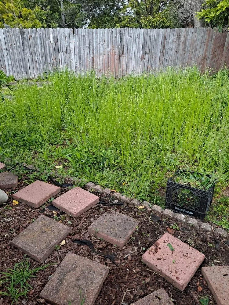 Trusted garden landscaping for year-round maintenance across Oakland, CA - Juan Landscaping & Gardening Service