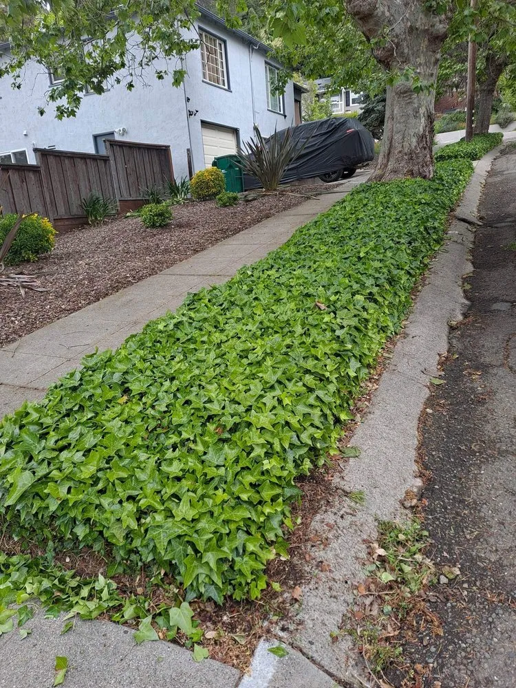 Top-rated lawn care service in Oakland, CA by Juan Landscaping & Gardening Service