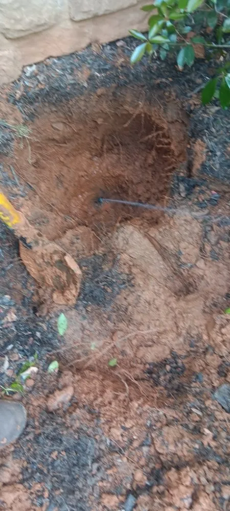 Trusted landscape design for year-round maintenance in Canton, GA by Juan Landscaping