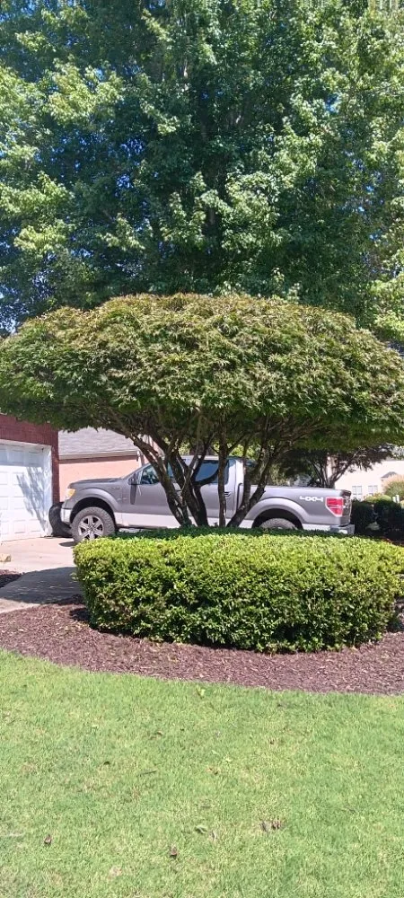 Trusted outdoor landscaping for year-round maintenance across Canton, GA - Juan Landscaping