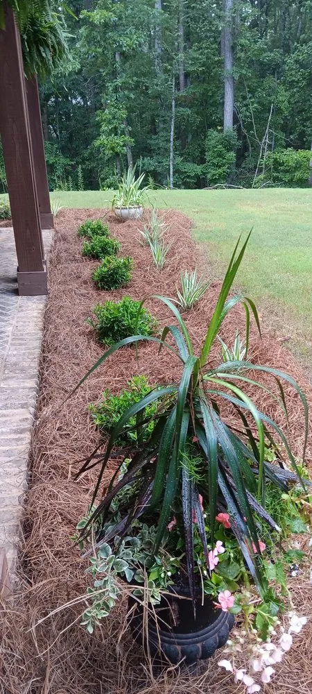 Custom lawn mowing service in Canton, GA by Juan Landscaping