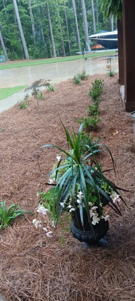 Trusted outdoor landscaping for residential properties across Canton, GA - Juan Landscaping