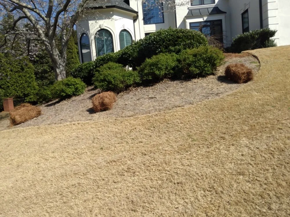 Local landscape design for year-round maintenance in Cumming, GA by Juan Landscaping