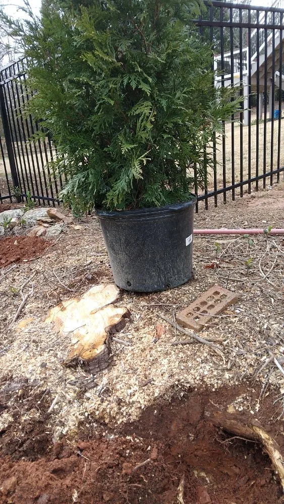 Top-rated yard maintenance near you across Cumming, GA - Juan Landscaping