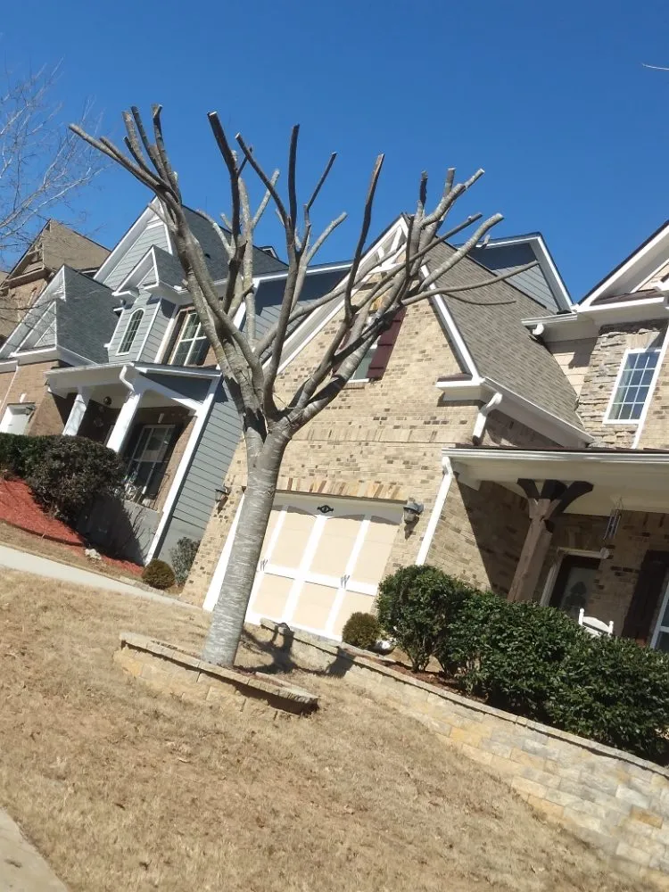 Custom yard maintenance in Cumming, GA - Juan Landscaping