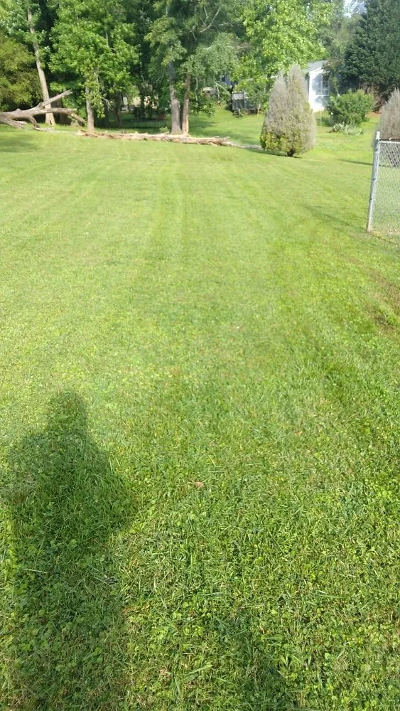 Top-rated residential landscaping in Cumming, GA by Juan Landscaping