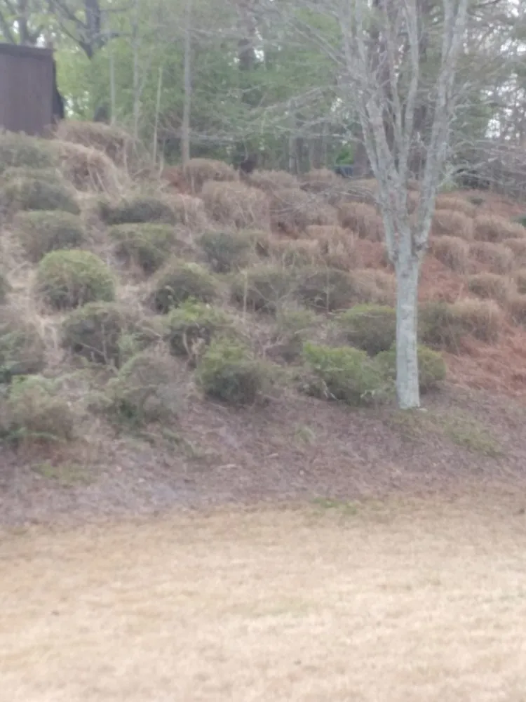 Professional garden landscaping in Cumming, GA - Juan Landscaping