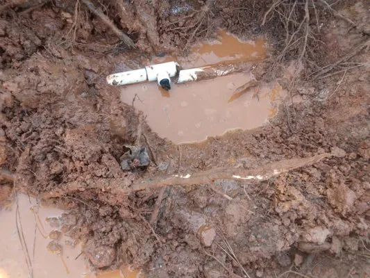 Juan Landscaping Logo