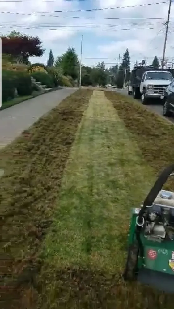 Expert garden landscaping experts serving Tacoma, WA - Juan Landscaping Maintenance
