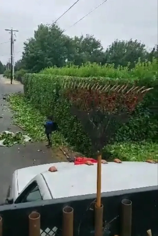 Affordable residential landscaping in Tacoma, WA by Juan Landscaping Maintenance