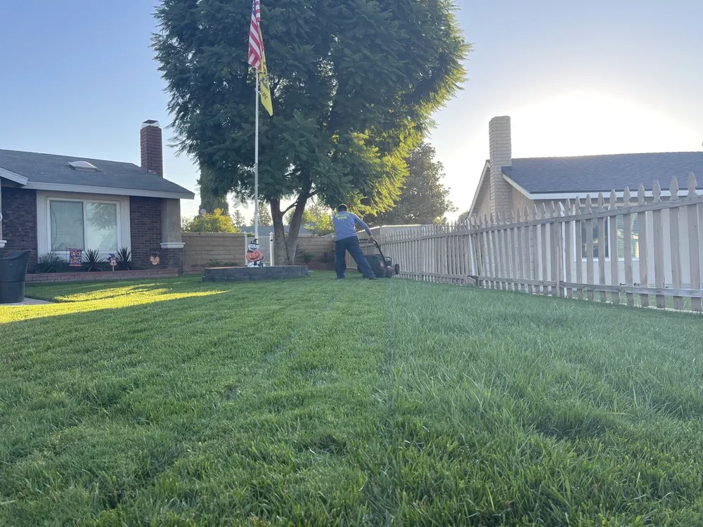 Local yard cleanup service in Ontario, CA by Juan Landscaping