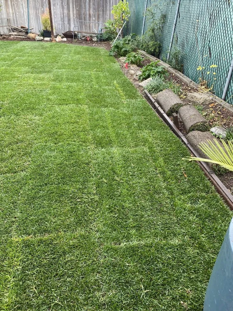 Affordable yard cleanup service for year-round maintenance in Ontario, CA by Juan Landscaping