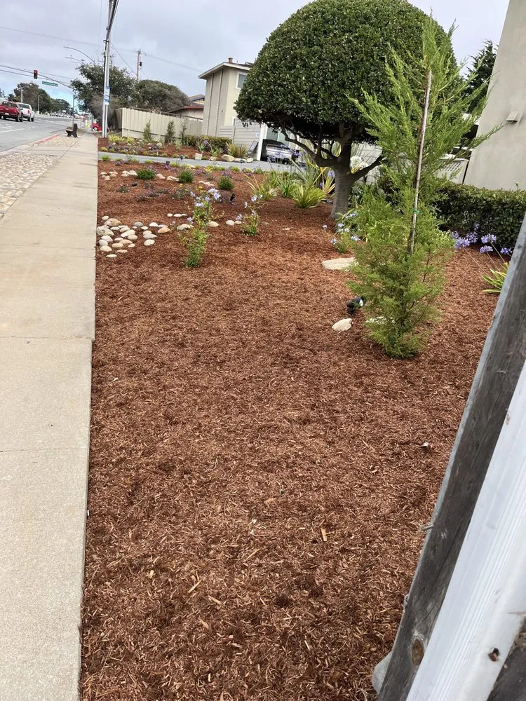 Affordable garden landscaping in Seaside, CA by Juan Landscaping