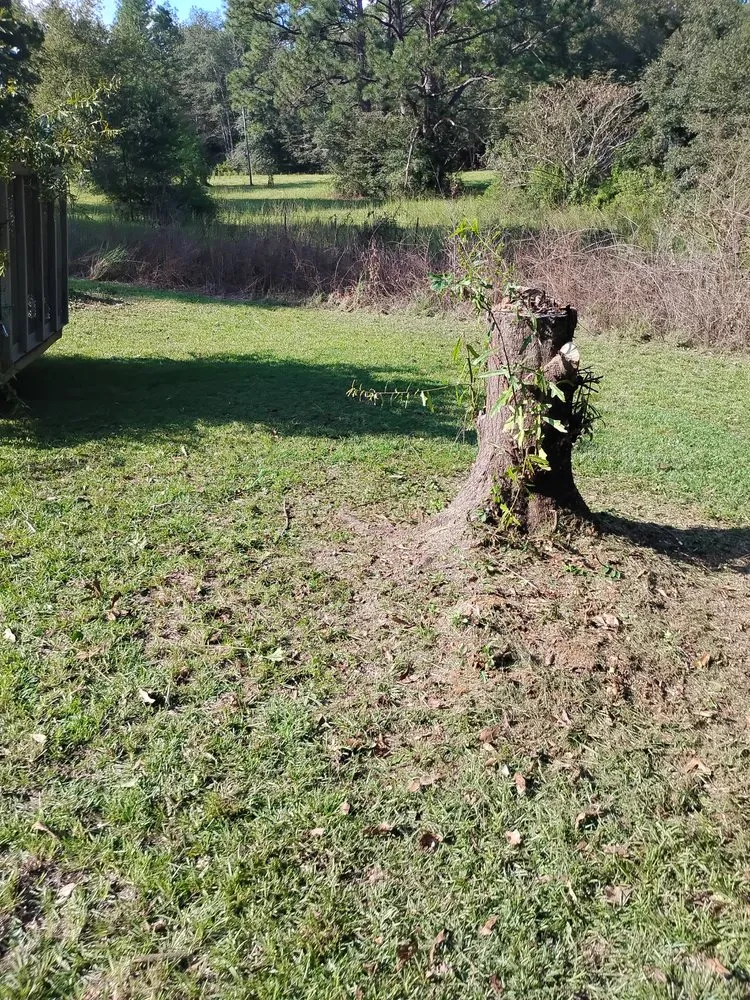 Professional lawn care service near you in Franklinton, LA by Juan Lawn & Construction