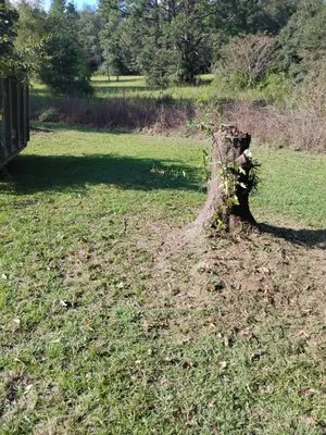 Juan Lawn & Construction Logo