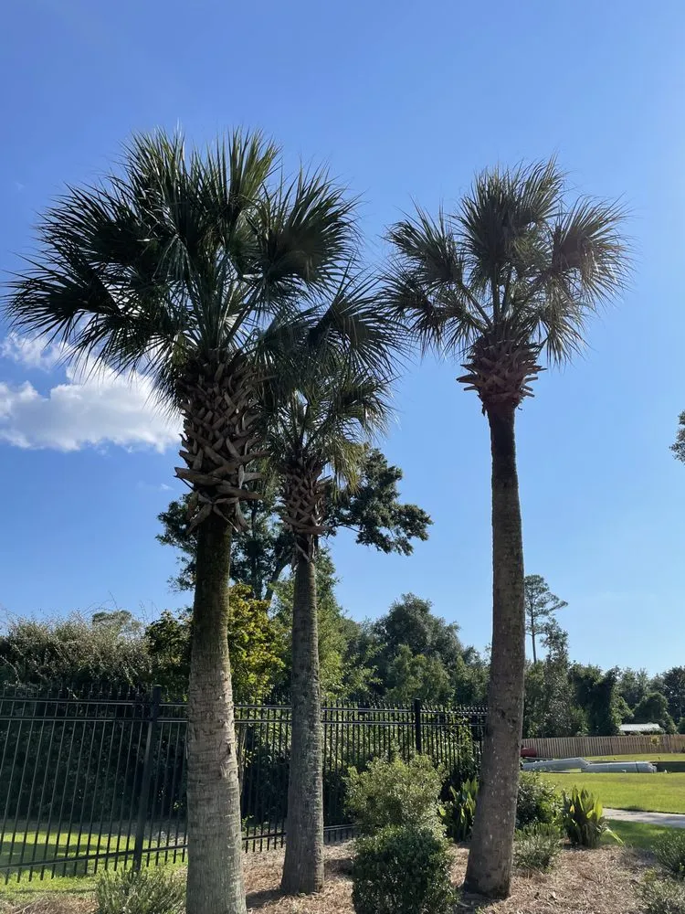 Affordable yard cleanup service near you across Foley, AL - Juan Lawn Care