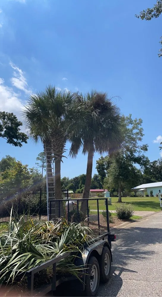 Professional landscape design in Foley, AL - Juan Lawn Care