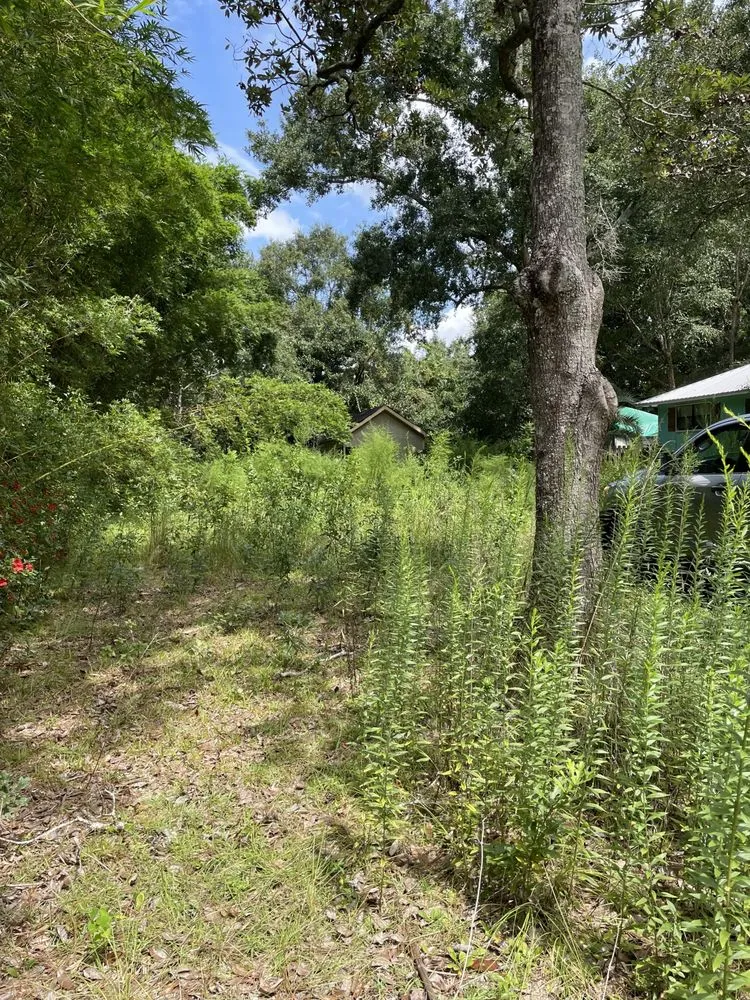 Expert landscape design for beautiful yards across Foley, AL - Juan Lawn Care