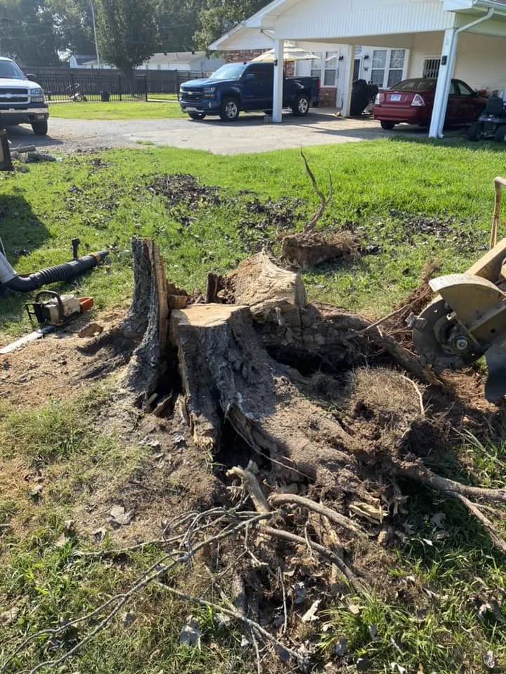 Affordable landscape installation in University, MD - Juan Lawn Care