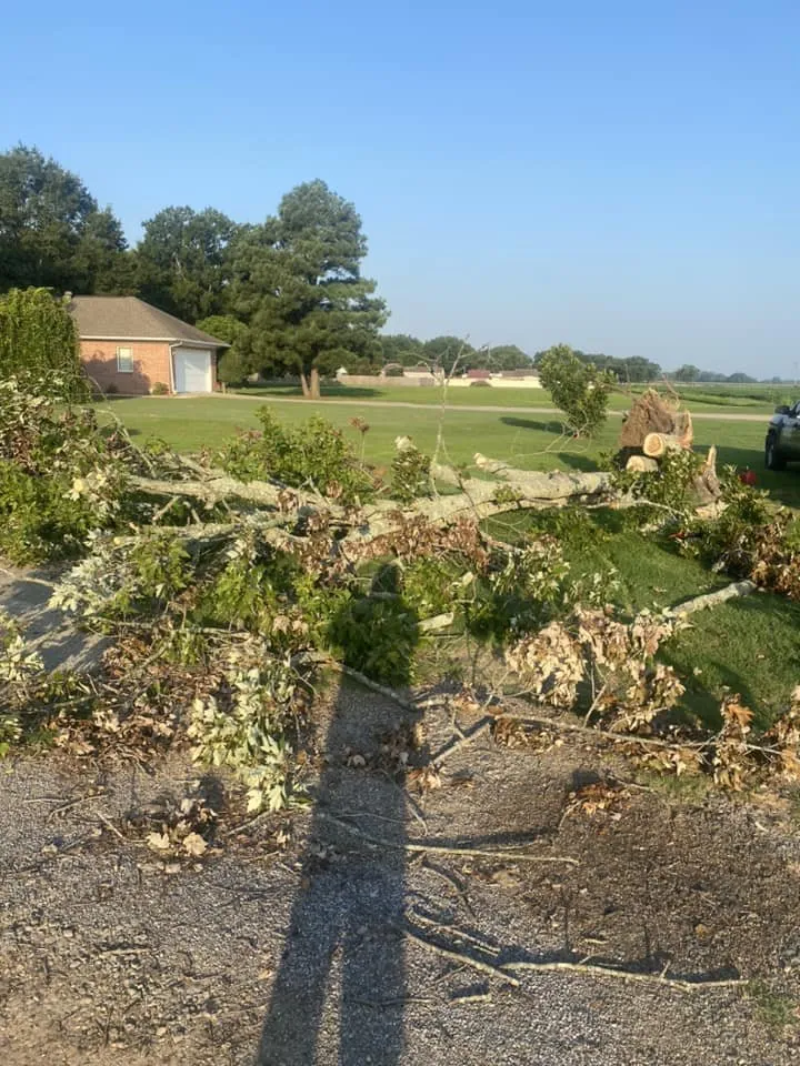 Local landscape design for beautiful yards in University, MD by Juan Lawn Care