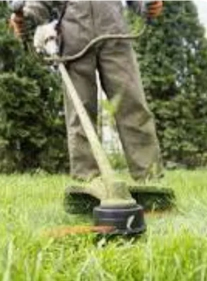 Expert yard cleanup service with custom design in Dublin, CA by Juan Lawn Service